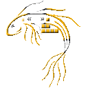 fish 2