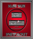 Siver_Pocket