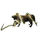tigre neon