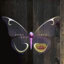 Pink Butterfly V1