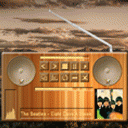 Wooden Radio V1 littlei