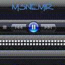 MsNEMIRs Vision