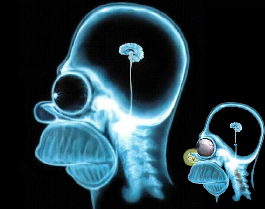 Homer_Funny