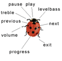 LadybugBar