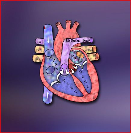 iamjoesmediaplayer2