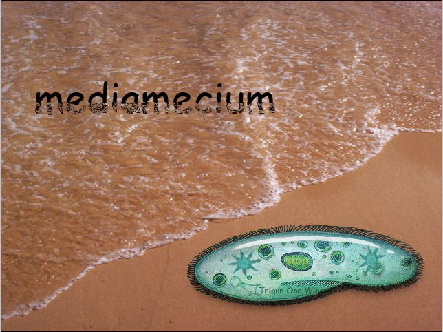 mediamecium