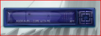 x11b